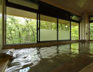 青梅石神温泉　清流の宿　おくたま路